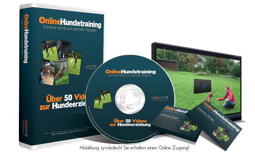 Online Hundeschule - jetzt anmelden